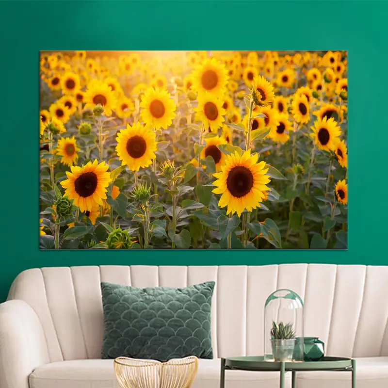 Gelbe Leinwand mit Sonnenblumenfeld: Bauernhaus-Küchen-Bauernhof-Dekor