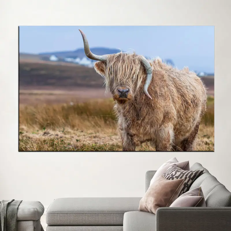 Elegant Highland Cow Farm Canvas: Coastal Farmhouse Decor