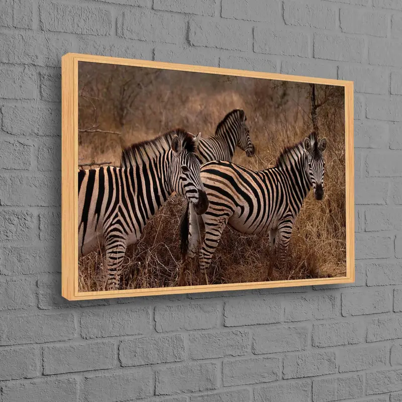 エレガントなゼブラ野生動物の風景プリントキャンバス - サファリ装飾