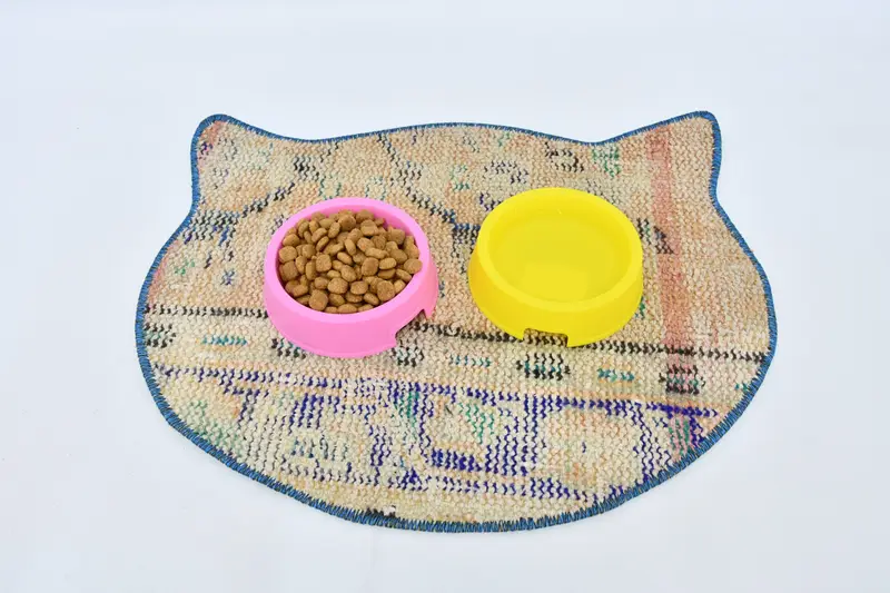 Şık Mavi ve Turuncu Emici Ped, Kaymaz Evcil Hayvan Matı