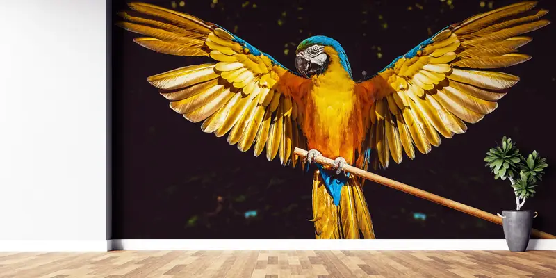 Paper Wall Art, Wall Paper Peel and Stick, , Bird Wall Painting, Custom Wall Paper, Modern Wall Poster, Parrot Wall Painting, - 6