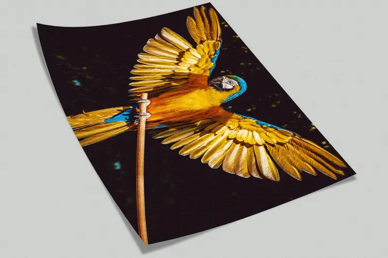 Paper Wall Art, Wall Paper Peel and Stick, , Bird Wall Painting, Custom Wall Paper, Modern Wall Poster, Parrot Wall Painting, - 9
