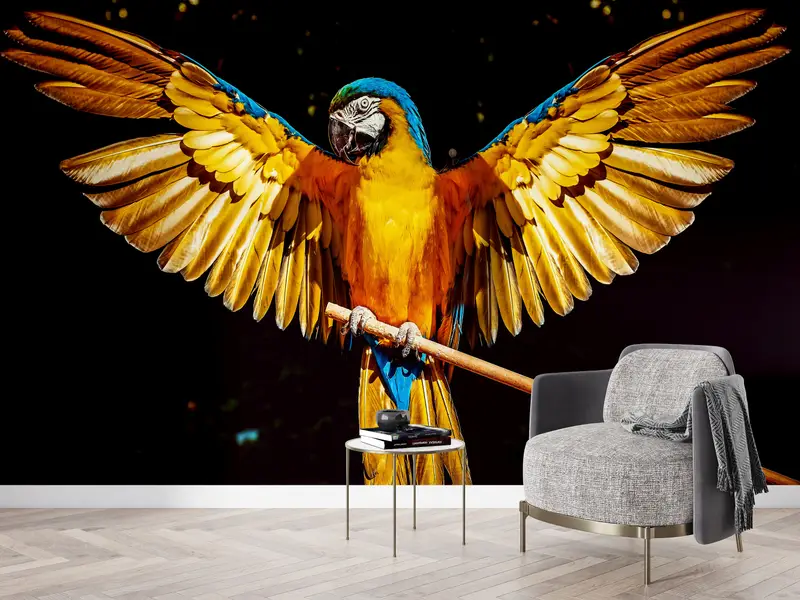 Paper Wall Art, Wall Paper Peel and Stick, , Bird Wall Painting, Custom Wall Paper, Modern Wall Poster, Parrot Wall Painting, - 1