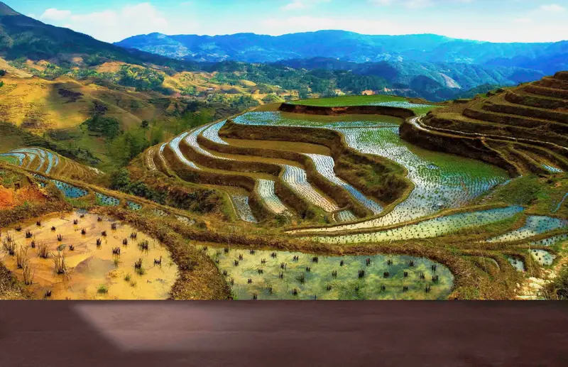 Basılı Duvar Kağıdı: Banaue Pirinç Tarlaları Doğa Manzaralı, Filipinler