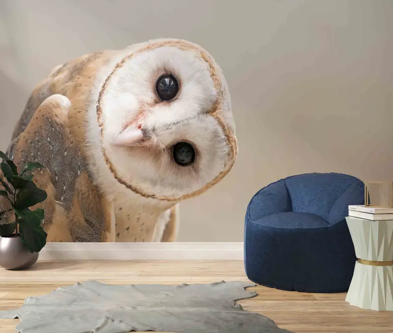 エレガントなフクロウの写真モダンなロフト壁紙、現代的な装飾