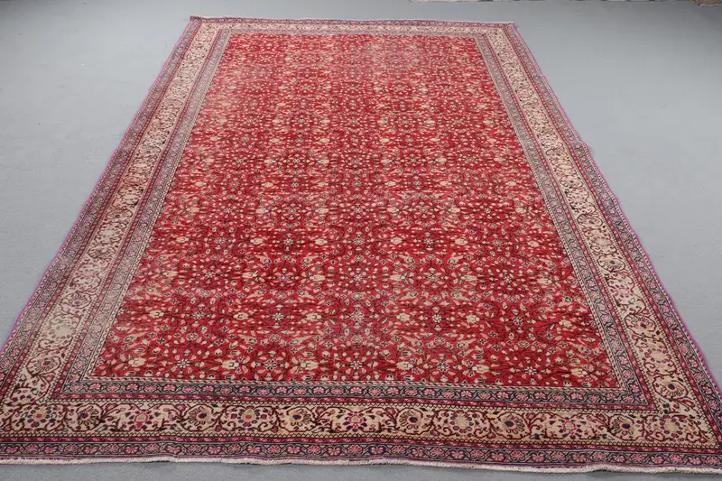 Elegant Red & Beige Rug, 6,5x9,5 ft Floral & Paisley