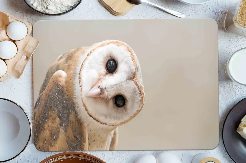 フクロウのデザインのモダンな強化ガラスまな板