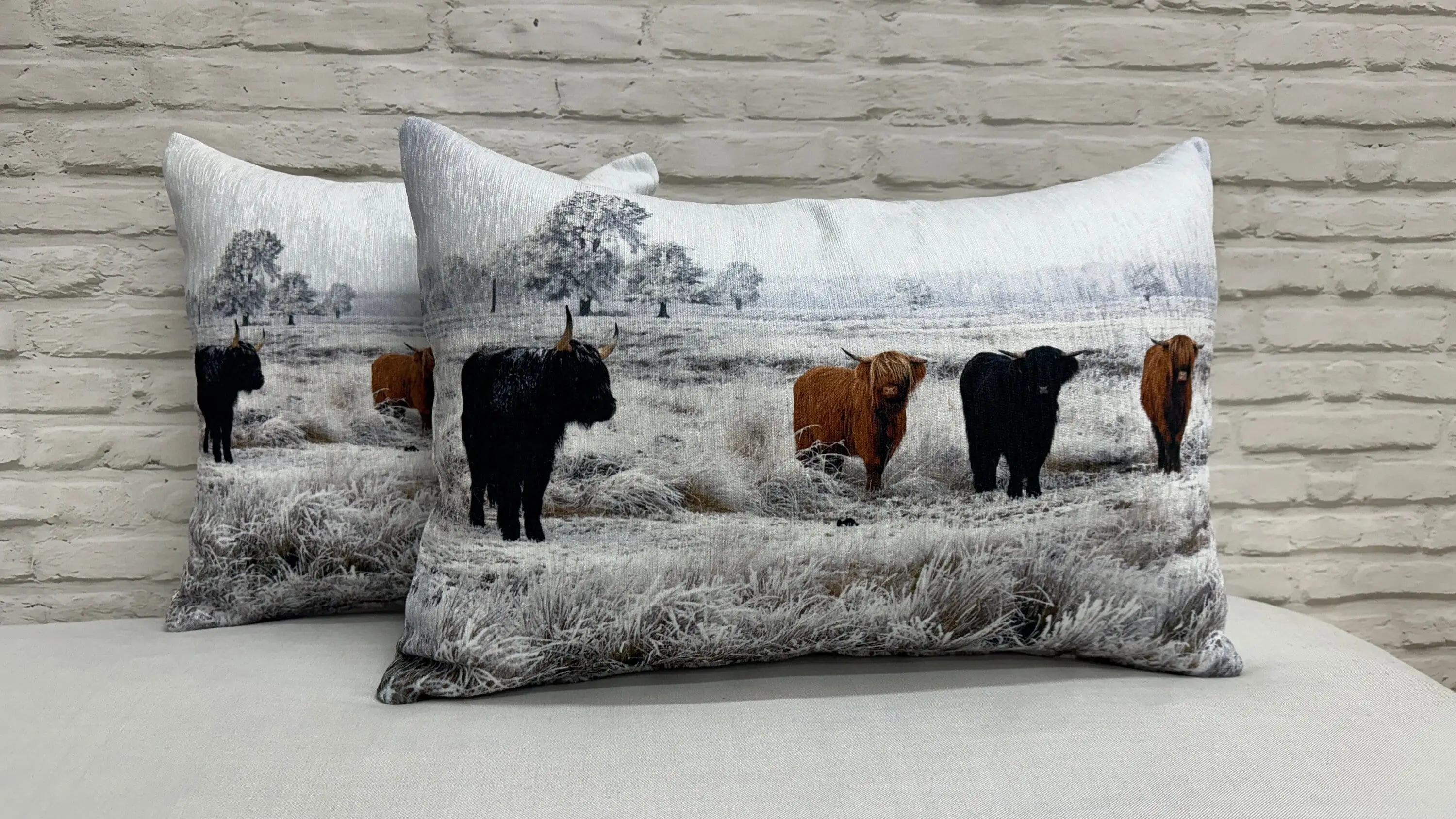 Cow Photo Print Pillow - Rustic Farmhouse Decor - 1