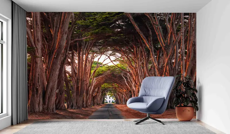 魅惑的なおとぎ話の木々のプリント壁紙: あなたの空間を変えましょう