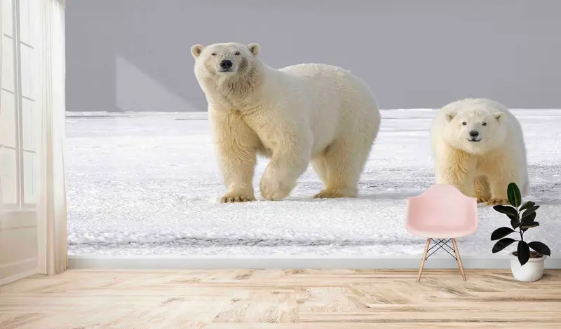 Papel pintado elegante de oso polar: decoración impresa de vida silvestre ártica