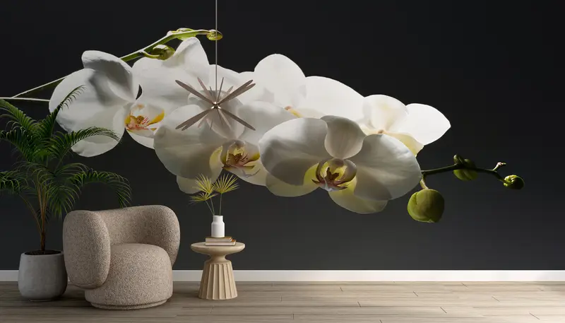 エレガントな白い蘭の壁紙: あなたのスペースにプリントされた花の装飾