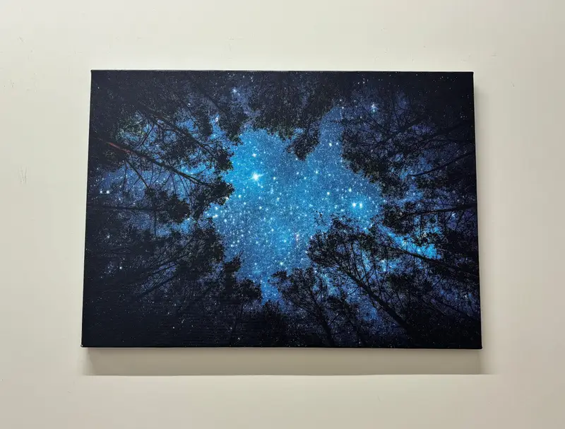 Bedruckte Leinwand mit bezauberndem Waldnachtblick – Nature's Serenity