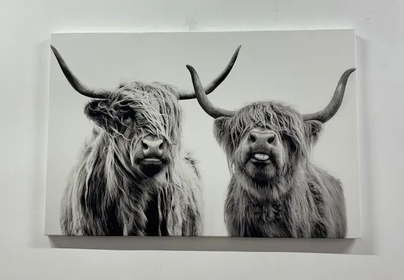 Highland Cow Poster, Personalized Wall Art, Canvas Wall Art, Cow Wall Decor, Highland Decor, Farmhouse Wall Art, Large Wall Art, Home Decor, - 5