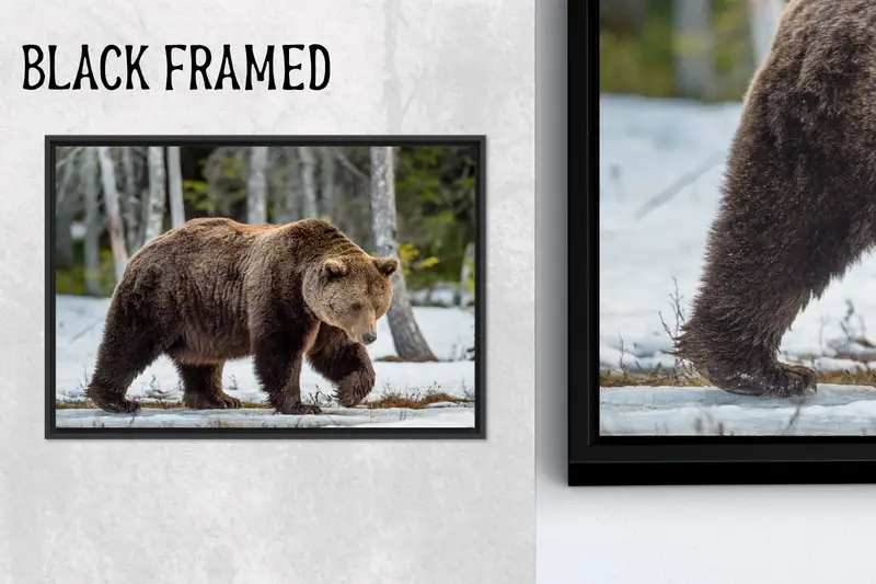 Vahşi Hayvan Kanvası: Loft Man Cave Dekorunda Ayı