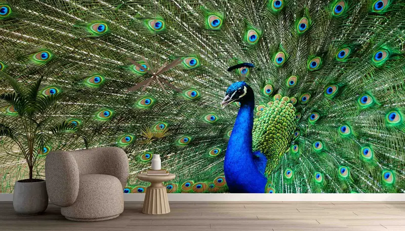 Papel pintado estampado de plumas y pavo real: moderno, verde y azul