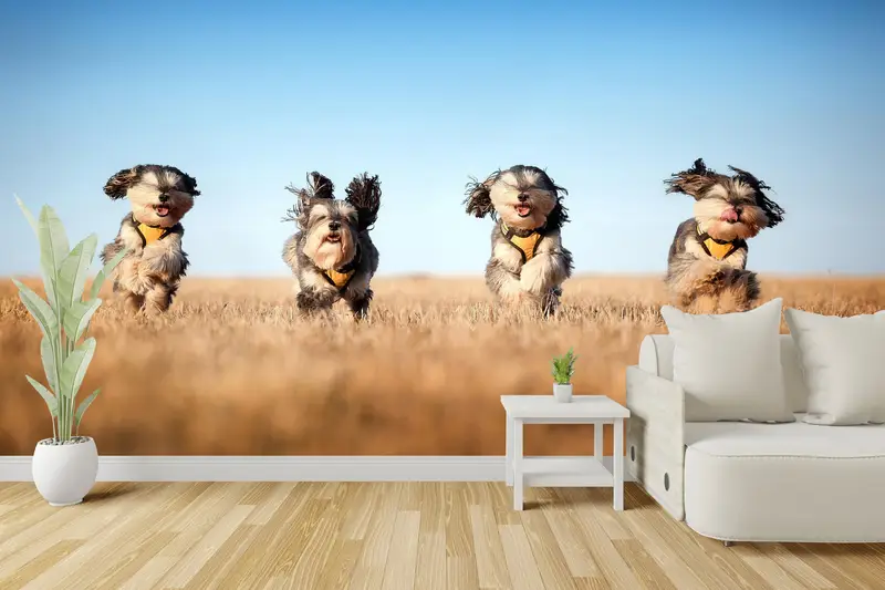 Baskılı Duvar Kağıdı: Dört Sevimli Köpek, Köpek Severler için Mükemmel