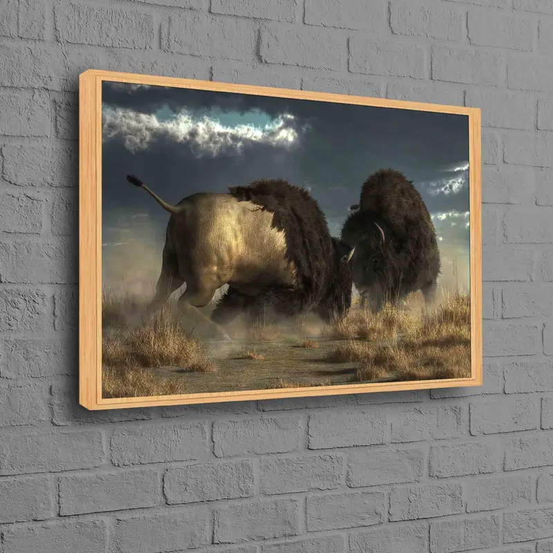 雄大なバイソンの戦いキャンバスプリント - 野生の自然アート