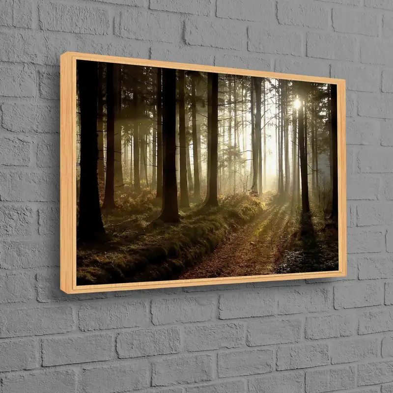 魅惑の森の夕日のキャンバス: 解き放たれた自然の美しさ