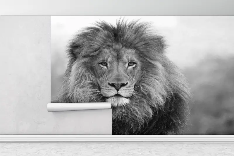 Löwenfoto Print, Loft Wall Art, Wildlife Wall -Plakat, Wildtier -Wandbild, wildes Löwenwandplakat, Tierwanddekor, Löwenwandkunst, - 1