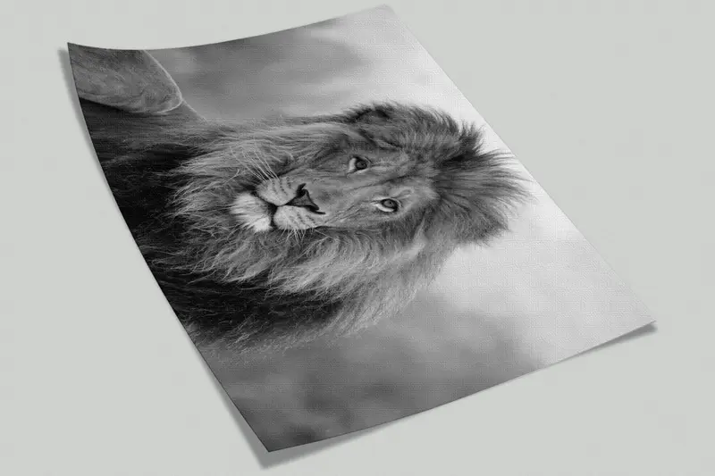Löwenfoto Print, Loft Wall Art, Wildlife Wall -Plakat, Wildtier -Wandbild, wildes Löwenwandplakat, Tierwanddekor, Löwenwandkunst, - 6