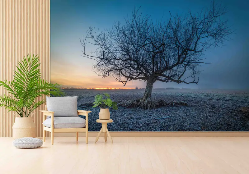 Bedruckte Tapete: Baumlandschaft, Sonnenuntergang, Natur, elegante Inneneinrichtung