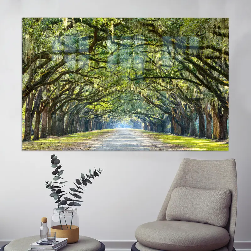 Zarif Baskılı Cam: Çarpıcı Çizgi ve Savannah Seyahati