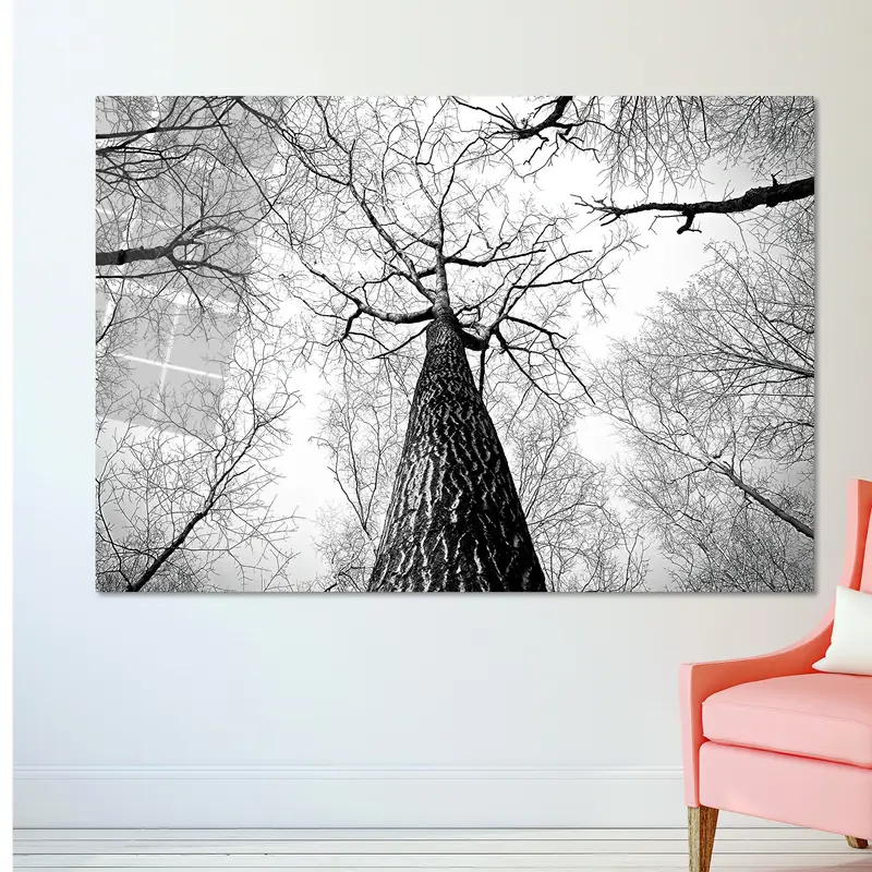 Tuval Baskı Zarif Siyah Beyaz Orman Manzaralı