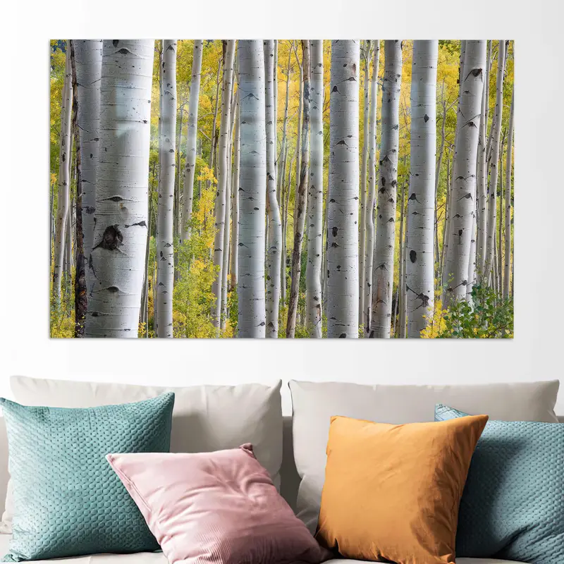 Zarif Birch Grove Baskılı Cam - Modern Çiftlik Evi Dekoru