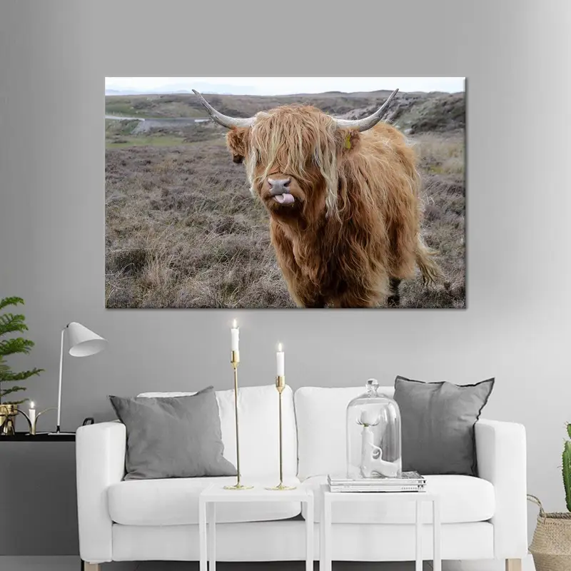 Majestic Highland Cattle Canvas: Nature's Wild Beauty Unleashed