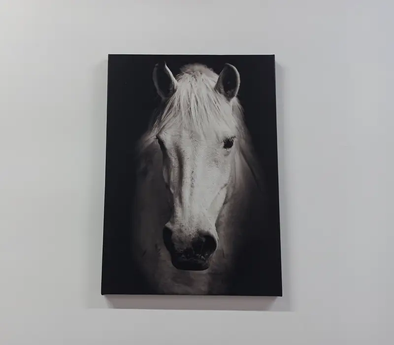 Canvas Wall Art, Office Decor, White Horse Wall Art, Horse Lover Gift, Modern Wall Art, Contemporary Wall Decor, Man Cave Wall Art, - 1