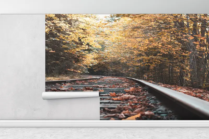 Leaves Wall Mural, Autumn Leaves Wallpaper, View Wall Art, Tree Wall Art, Landscape Wall Painting, Autumn Railroad Tracks Wallpaper, - 3