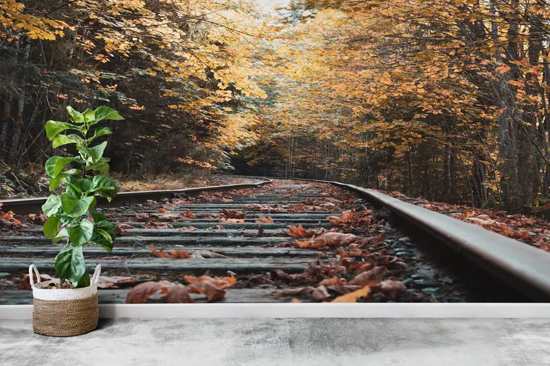 Leaves Wall Mural, Autumn Leaves Wallpaper, View Wall Art, Tree Wall Art, Landscape Wall Painting, Autumn Railroad Tracks Wallpaper, - 4