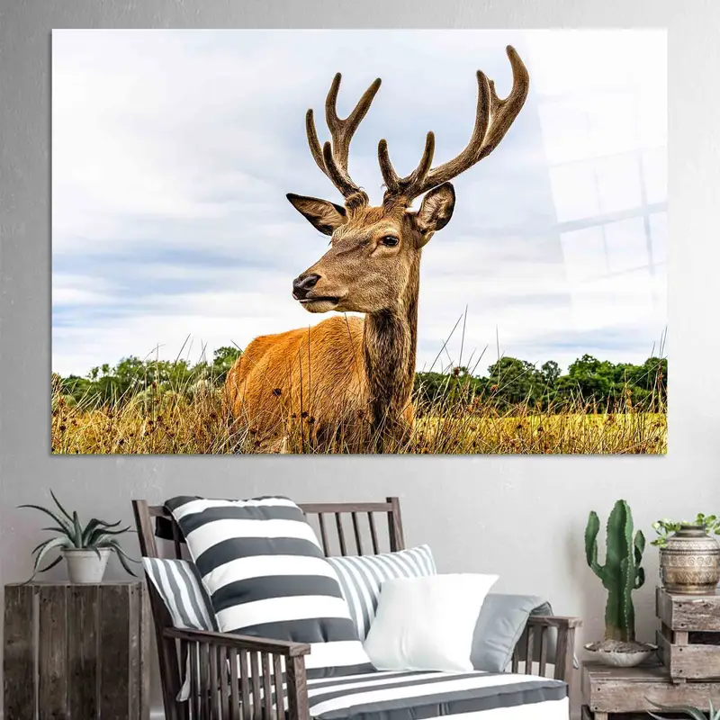 エレガントなサファリ野生動物キャンバス: アメリカ鹿の風景プリント