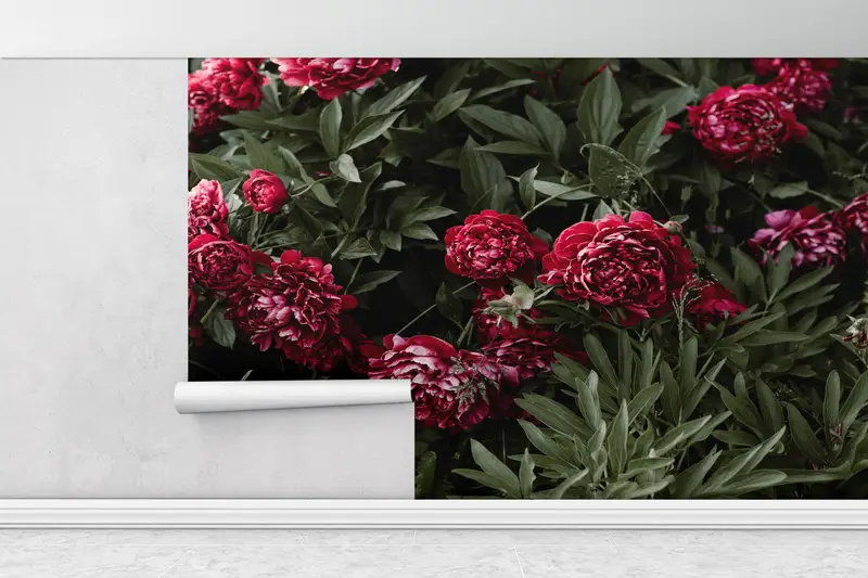Peony Flower Wall Mural,Wall Paper Peel and Stick,Bright Wall Paper,Peony Wall Decor,Modern Wall Paper,Floral Wall Mural, - 1