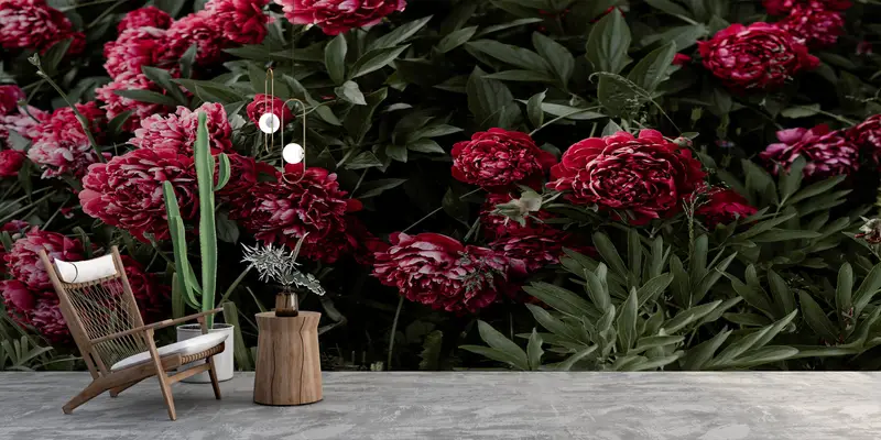 Peony Flower Wall Mural,Wall Paper Peel and Stick,Bright Wall Paper,Peony Wall Decor,Modern Wall Paper,Floral Wall Mural, - 3