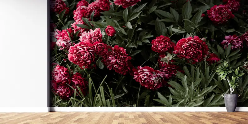Peony Flower Wall Mural,Wall Paper Peel and Stick,Bright Wall Paper,Peony Wall Decor,Modern Wall Paper,Floral Wall Mural, - 4
