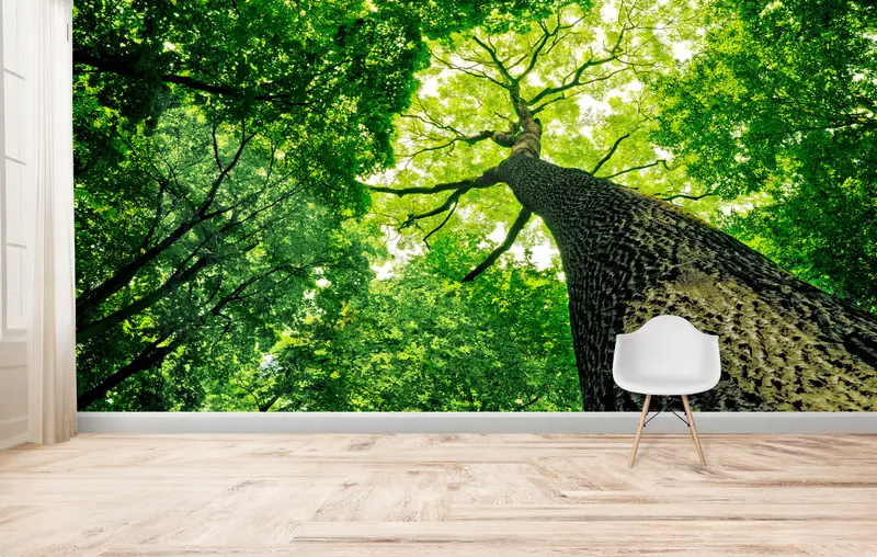 Zarif Baskılı Duvar Kağıdı: Ev Dekorasyonu için Yeşil Orman Manzarası
