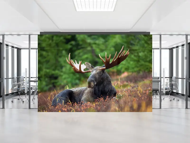 Deer Wall Painting, Tree Wall Stickers, Animal Wall Mural, Horn Wall Painting, Paper Cutting Art, Wall Paper Peel And Stick, - 1