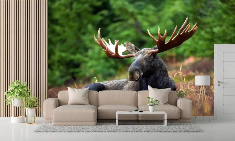 Deer Wall Painting, Tree Wall Stickers, Animal Wall Mural, Horn Wall Painting, Paper Cutting Art, Wall Paper Peel And Stick, - 4