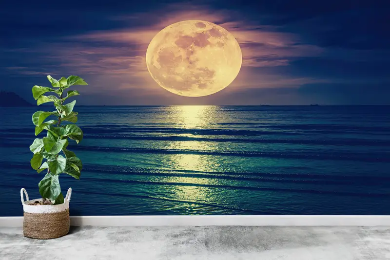 Sea Wallpaper, Super Moon Mural, Bright Wall Paper, Landscape Wallpaper, , Paper Wall Art, Wall Paper Peel and Stick, View Wall Decor, - 2