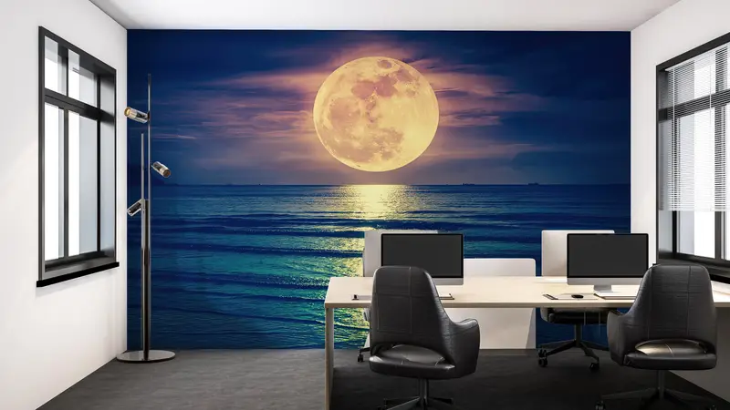 Sea Wallpaper, Super Moon Mural, Bright Wall Paper, Landscape Wallpaper, , Paper Wall Art, Wall Paper Peel and Stick, View Wall Decor, - 9