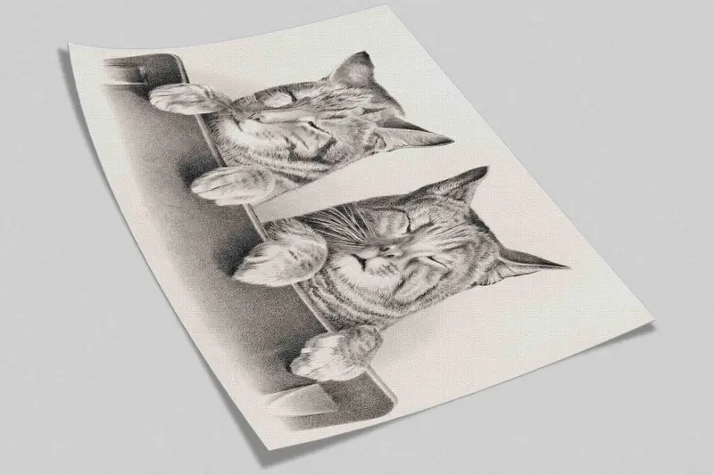 Two Cute Cats Mural, Animal Wall Poster, Lovely Cat Wall Mural, Lovely Animals Wallpaper, 3D Printing Art, Removable Wallpaper, - 6