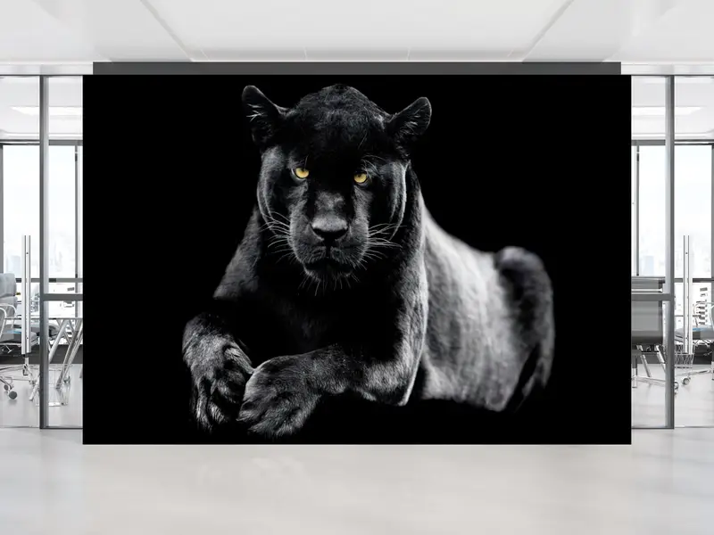 Zarif Kara Panter Baskılı Duvar Kağıdı: Modern Loft Dekor