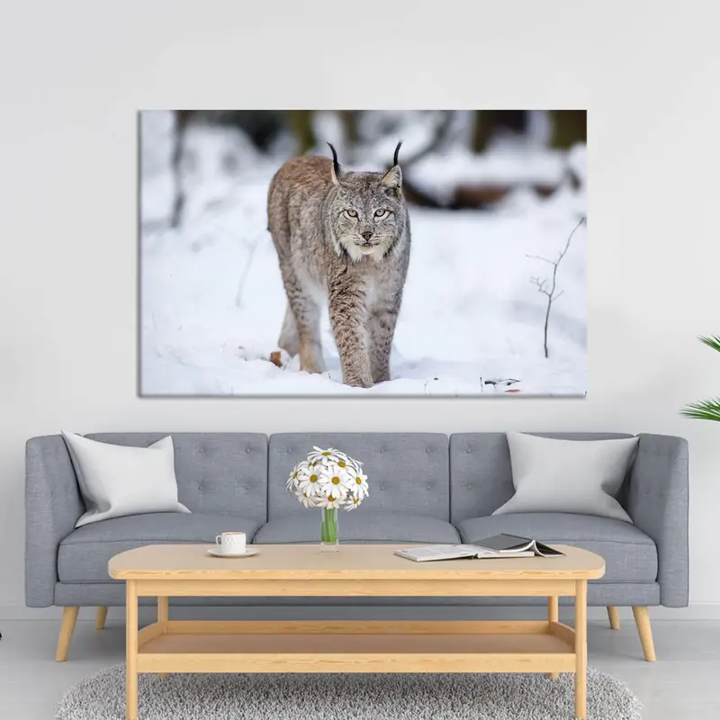 Wilde Winterwolf-Katze-Leinwand: Elegante gedruckte Kunst für Zuhause