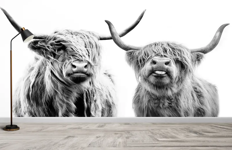 Elegante Tapete mit Highland-Kuh-Aufdruck: Schottisches Bauernhaus-Dekor