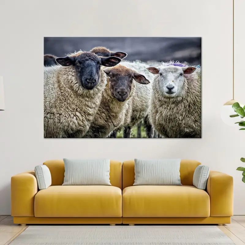 Impresión de lienzo elegante de granja de ovejas costeras - Decoración de loft