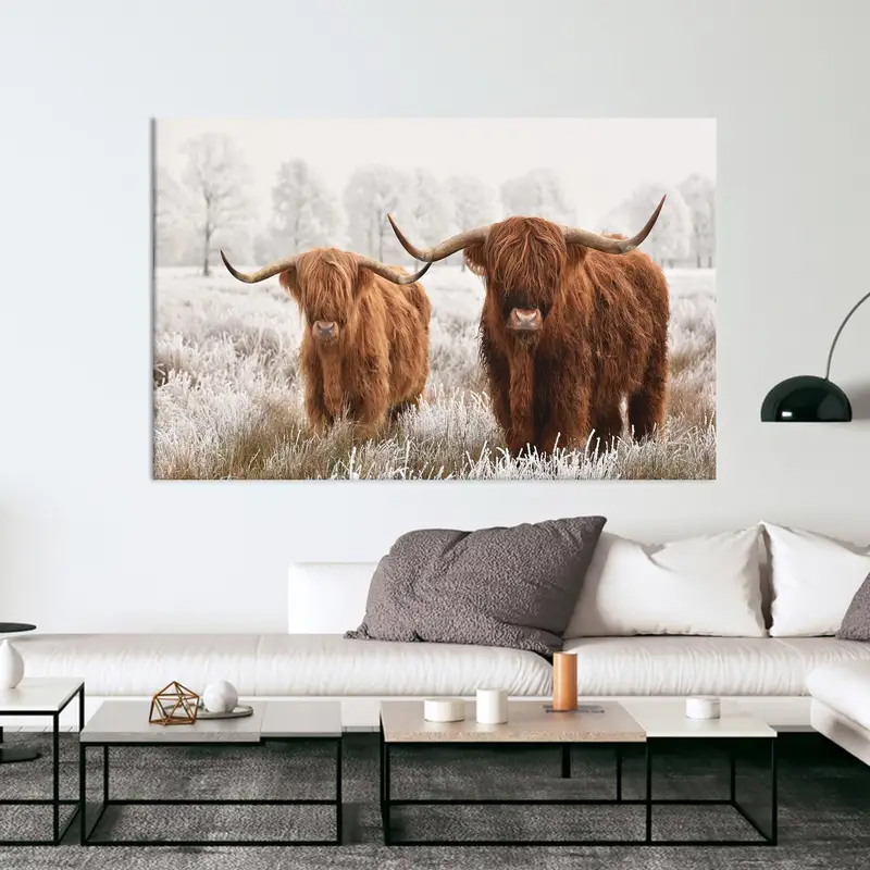 Elegante Hochlandkuh-Leinwand: Schottisches Bauernhaus-Küstendekor