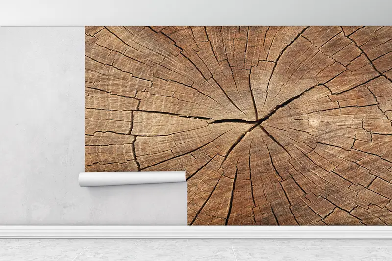 Modern Wall Print, Nature Mural, Abstract Wall Poster, Trendy Mural, Wood Crack Wall Mural, Tree Ring Wall Painting, - 7
