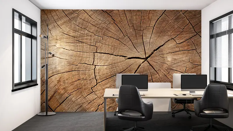 Modern Wall Print, Nature Mural, Abstract Wall Poster, Trendy Mural, Wood Crack Wall Mural, Tree Ring Wall Painting, - 3