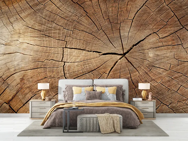 Modern Wall Print, Nature Mural, Abstract Wall Poster, Trendy Mural, Wood Crack Wall Mural, Tree Ring Wall Painting, - 4